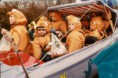 /album/faschingsumzug-2003/kinderimboot-jpg/